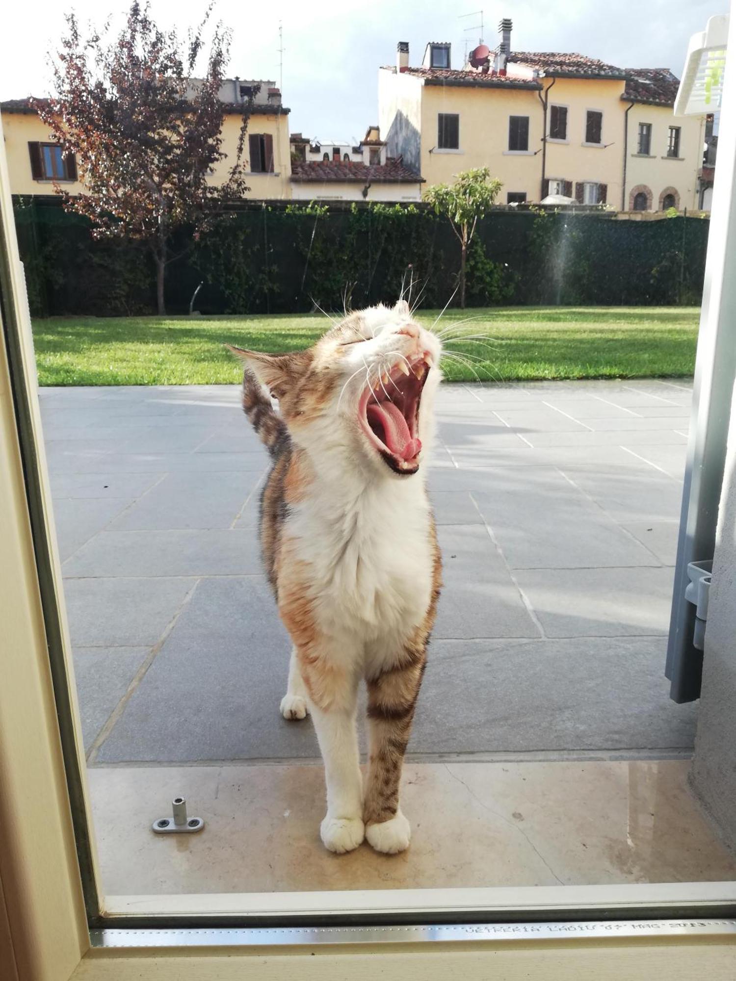 Casa Di Pietro Aretino, Arezzo Centro Storico 4-8 Letti Lägenhet Exteriör bild